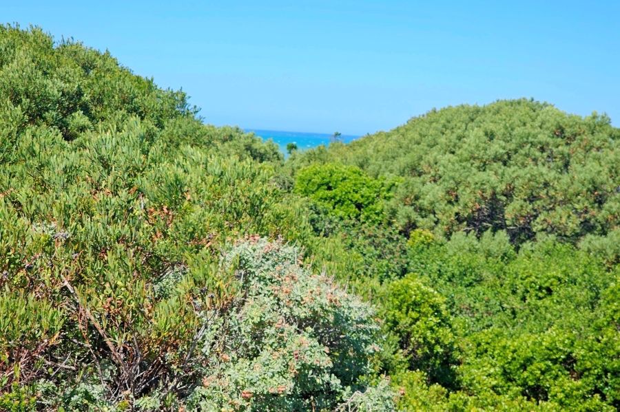 0 Bedroom Property for Sale in Paradise Beach Eastern Cape
